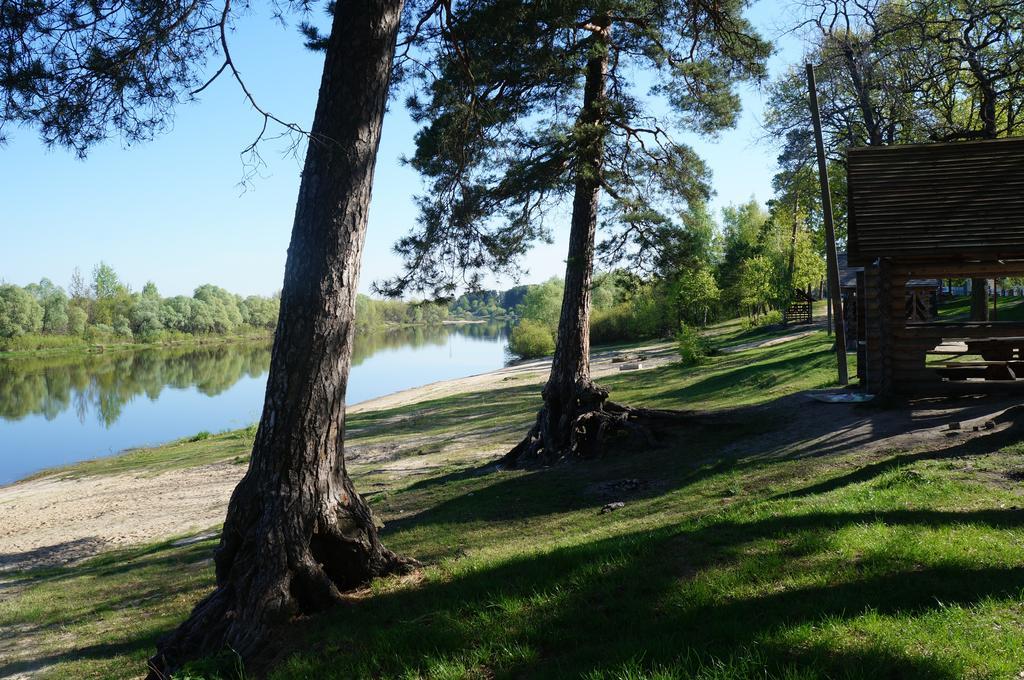 Belaya Dacha Apartment Gomel Bagian luar foto